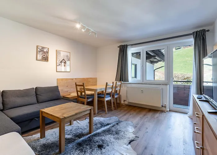 Appartement Ski&Bike by HolidayFlats24